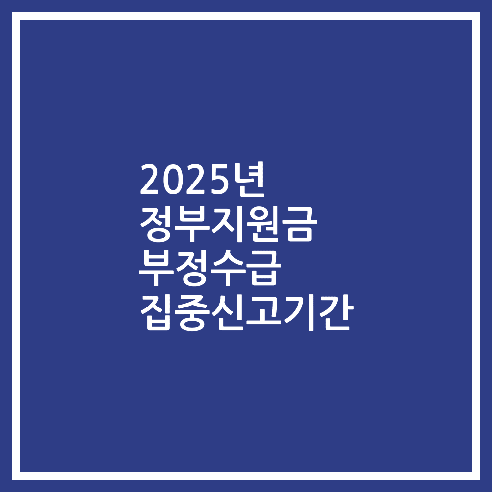 2025년 정부지원금 부정수급 집중신고기간