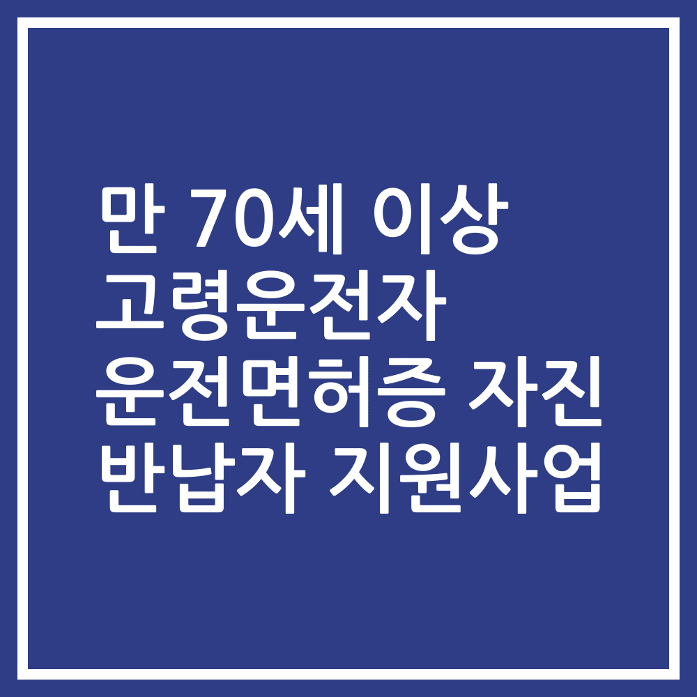 만 70세 이상 고령운전자 운전면허증 자진 반납자 지원사업