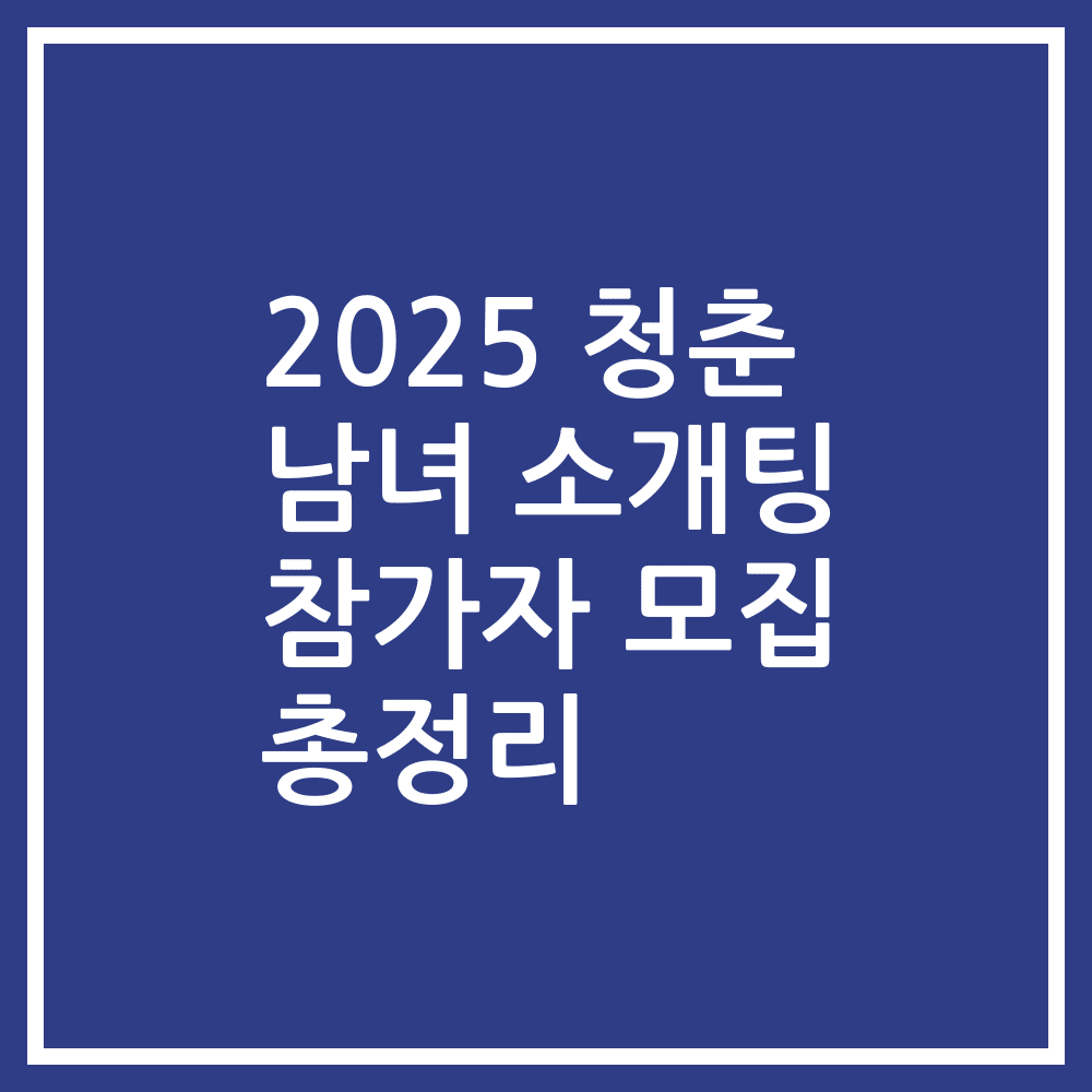 2025 청춘 남녀 소개팅 참가자 모집 총정리