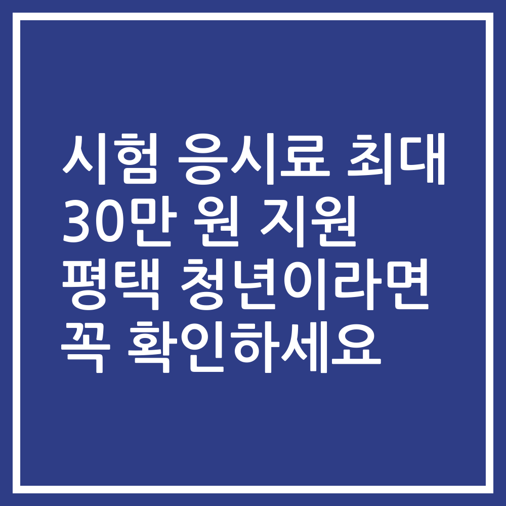 시험 응시료 최대 30만 원 지원 평택 청년이라면 꼭 확인하세요