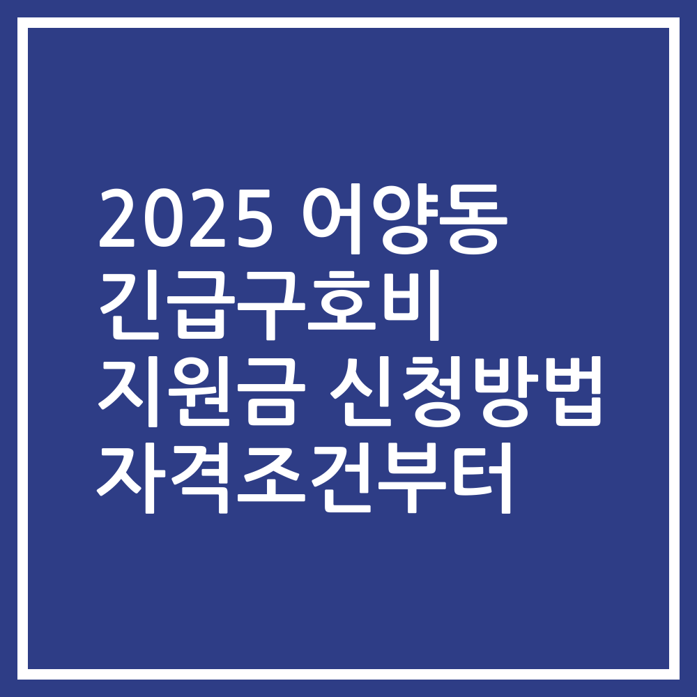 2025 어양동 긴급구호비 지원금 신청방법 자격조건부터