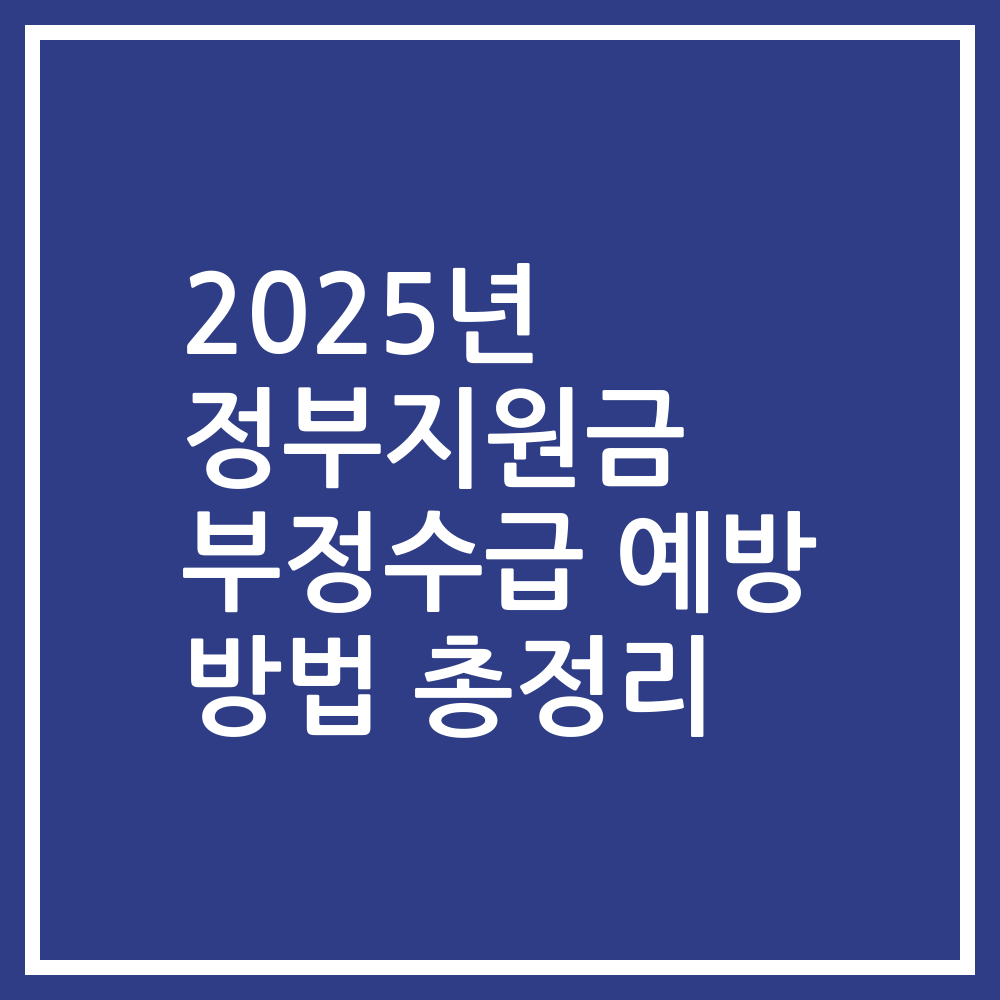 2025년 정부지원금 부정수급 예방 방법 총정리