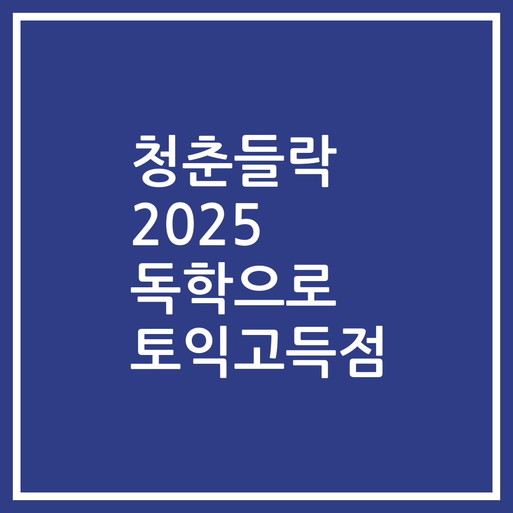 청춘들락 2025 독학으로 토익고득점