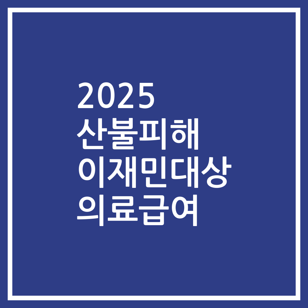 2025 산불피해 이재민대상 의료급여
