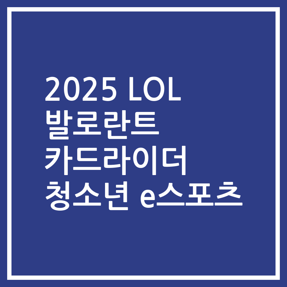 2025 LOL 발로란트 카드라이더 청소년 e스포츠