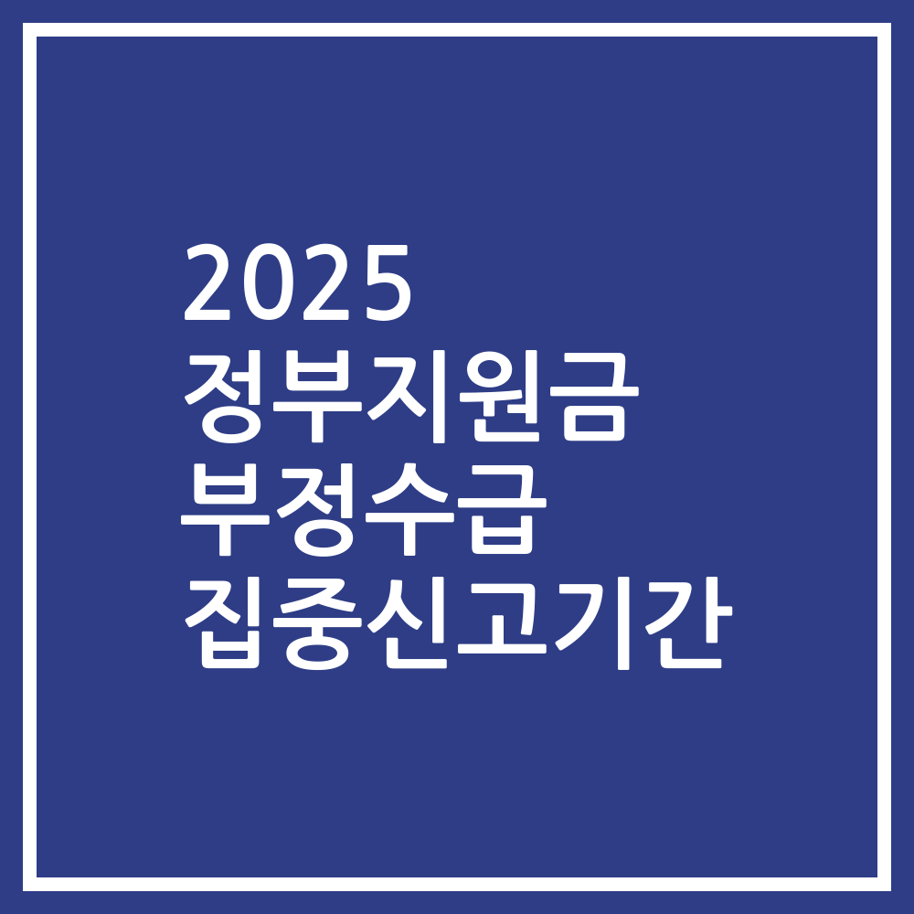 2025 정부지원금 부정수급 집중신고기간