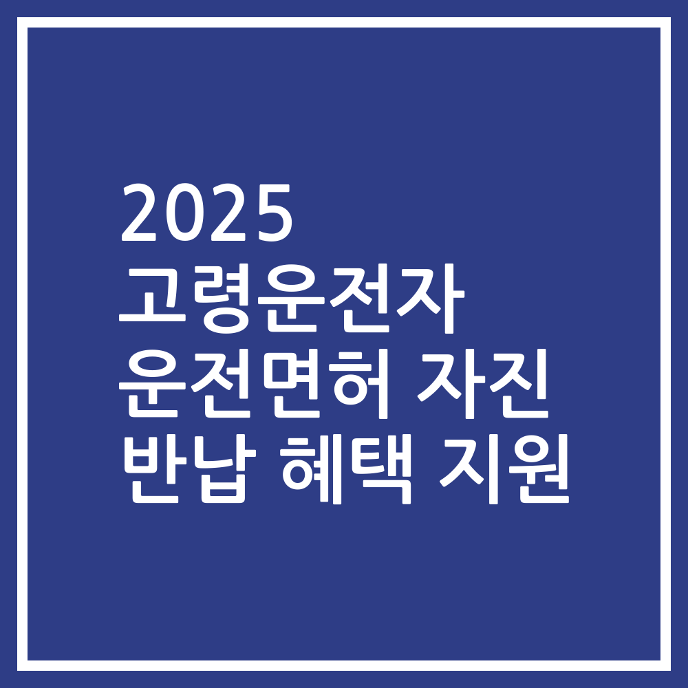 2025 고령운전자 운전면허 자진 반납 혜택 지원