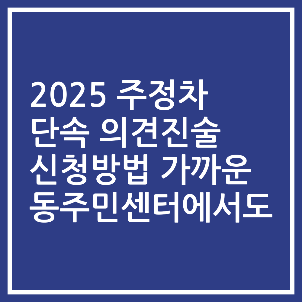 2025 주정차 단속 의견진술 신청방법 가까운 동주민센터에서도