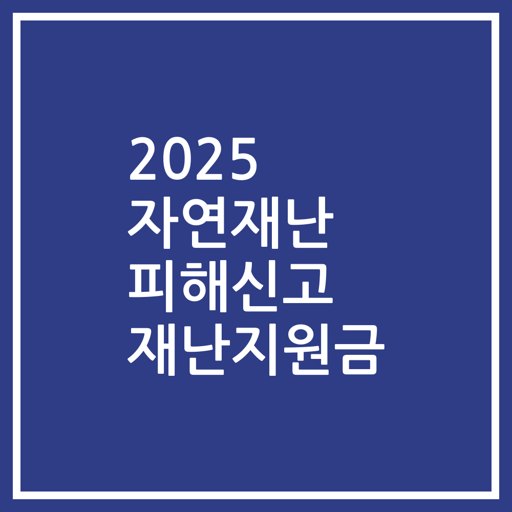 2025 자연재난 피해신고 재난지원금