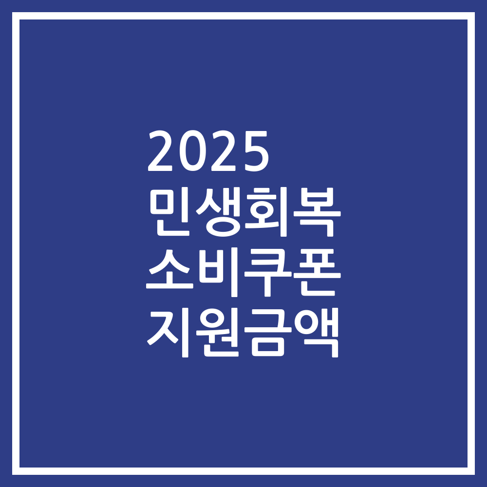2025 민생회복 소비쿠폰 지원금액