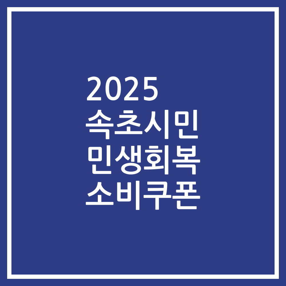 2025 속초시민 민생회복 소비쿠폰