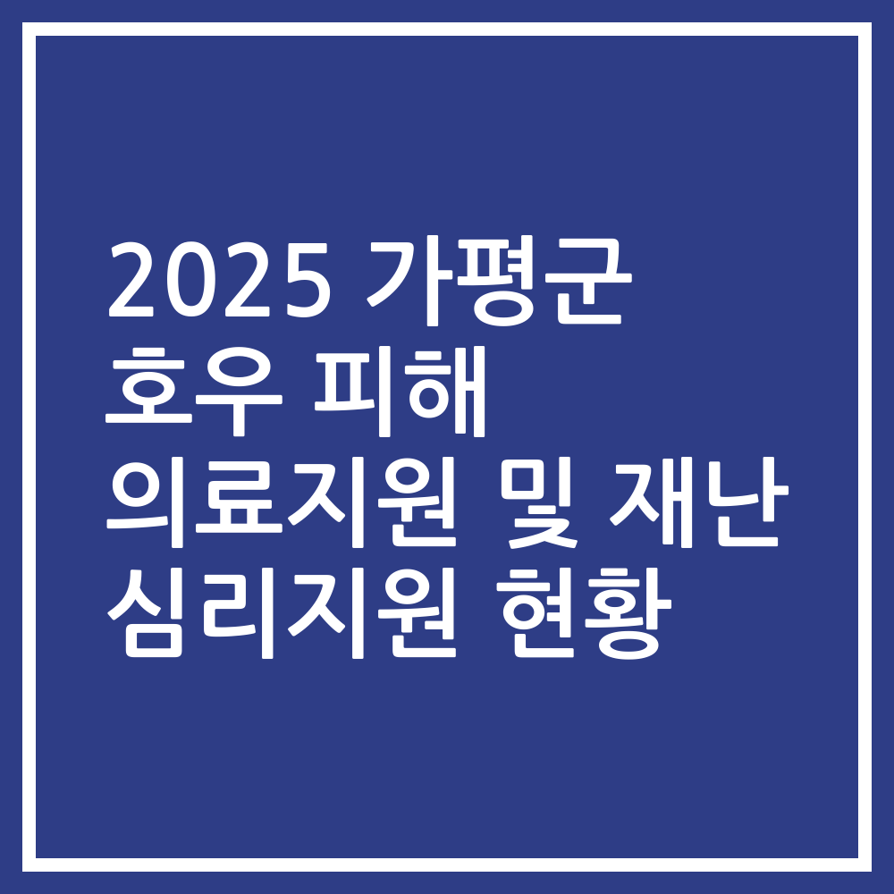 2025 가평군 호우 피해 의료지원 및 재난 심리지원 현황