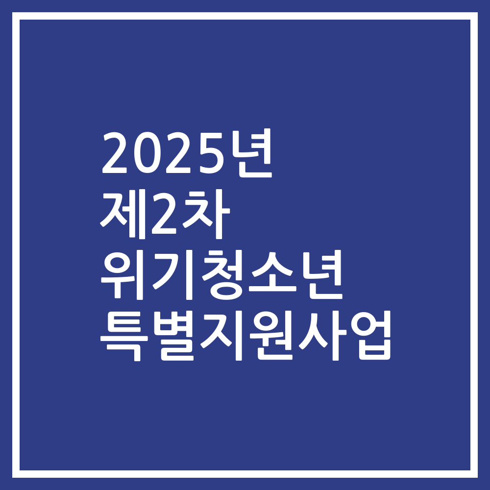 2025년 제2차 위기청소년 특별지원사업