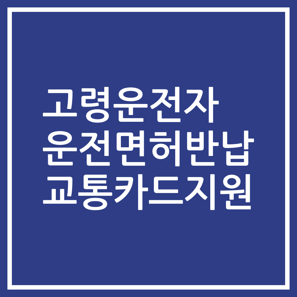 고령운전자 운전면허반납 교통카드지원