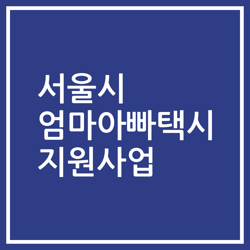 서울시 엄마아빠택시 지원사업